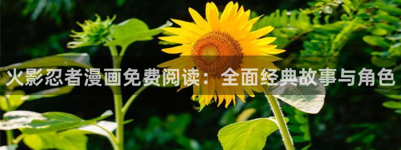 漫蛙漫画下载安卓版