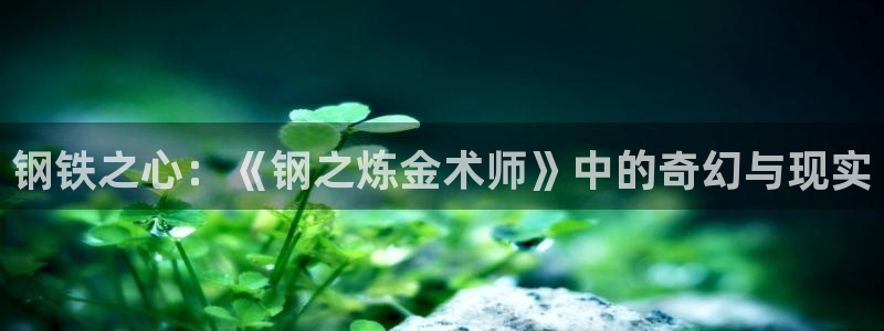 漫蛙漫画(网页版)免费
