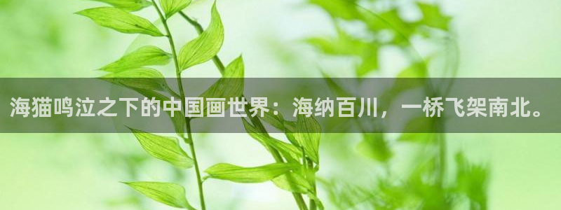 漫蛙官网网站