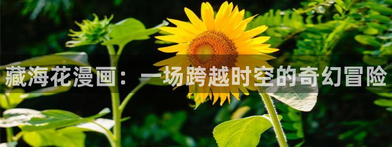 漫蛙manwa2正版下载免费