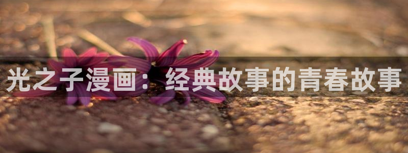 漫蛙在线观看入口