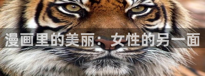 怎样下载漫蛙正版