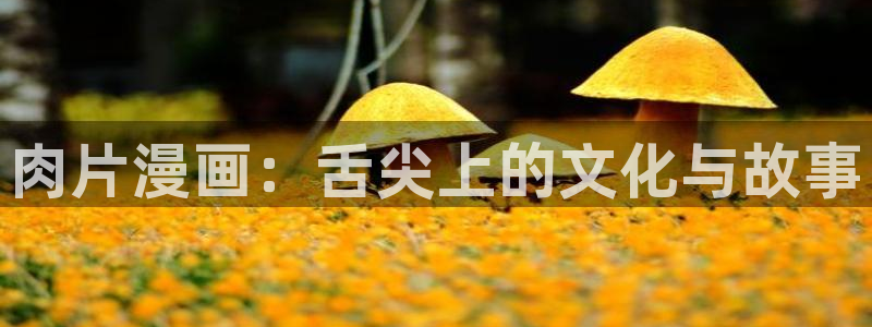 漫蛙2链接入口