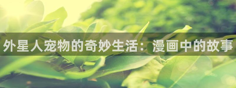 漫蛙下载大全