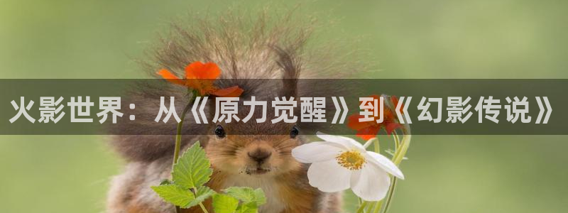 漫蛙