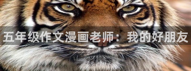 漫蛙2安卓