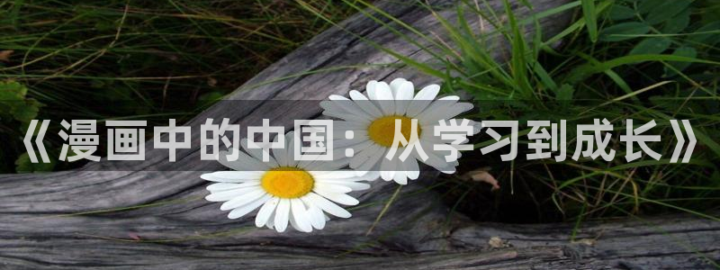 漫蛙网址2025