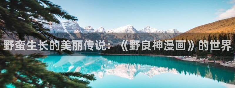 漫蛙网址2025