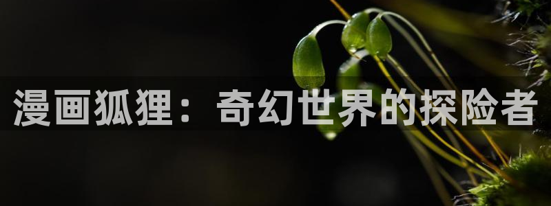漫蛙2链接入口：漫画狐狸：奇幻世界的探险者