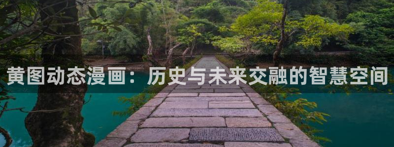 漫蛙动漫网：黄图动态漫画：历史与未来交融的智慧空间