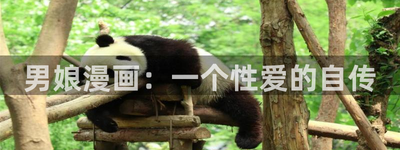 漫蛙2app官网入口：男娘漫画：一个性爱的自传