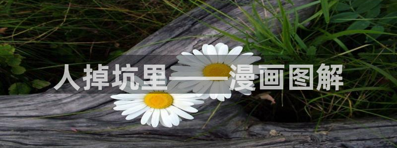 漫蛙漫画(网页入口)漫蛙官网版：人掉坑里——漫画图解