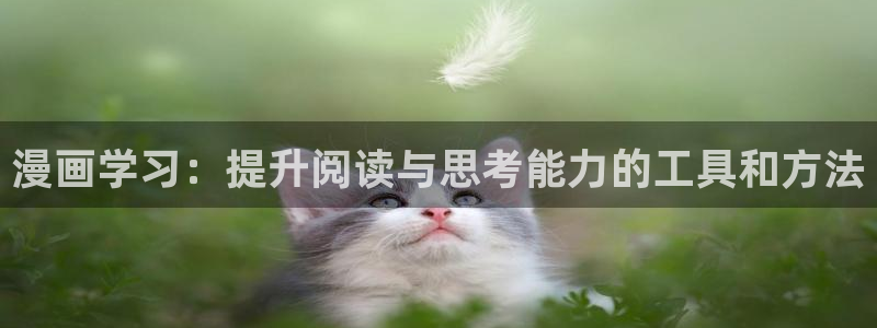 免费版漫蛙下载：漫画学习：提升阅读与思考能力的工具和方法