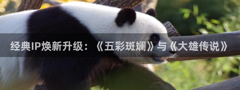 漫蛙是免费的吗?