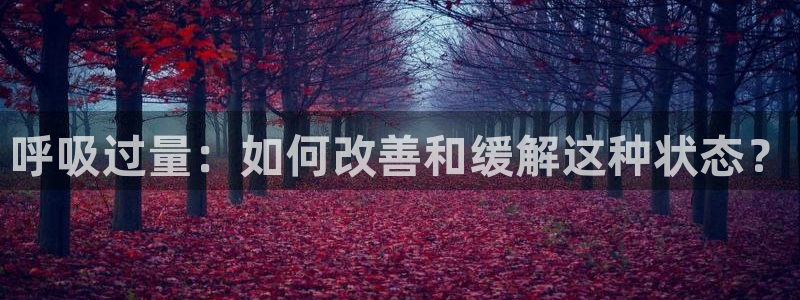 漫蛙2无删减版