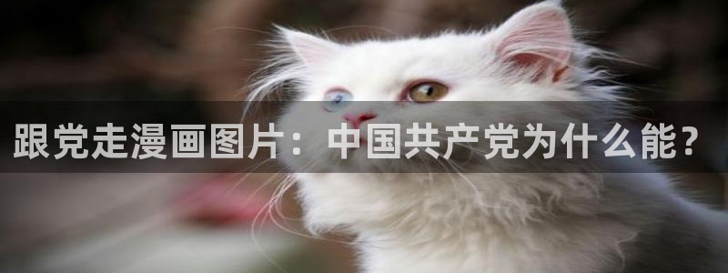 漫蛙魔咒免费观看完整漫画