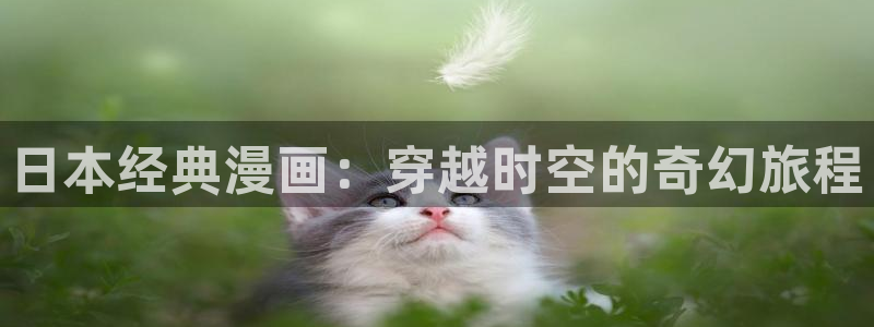 漫蛙漫画app最新版本