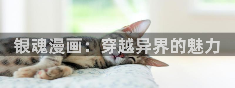 水边之夜漫蛙漫免费漫画入口
