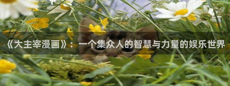 漫蛙私密教学