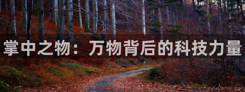 漫蛙2(台版