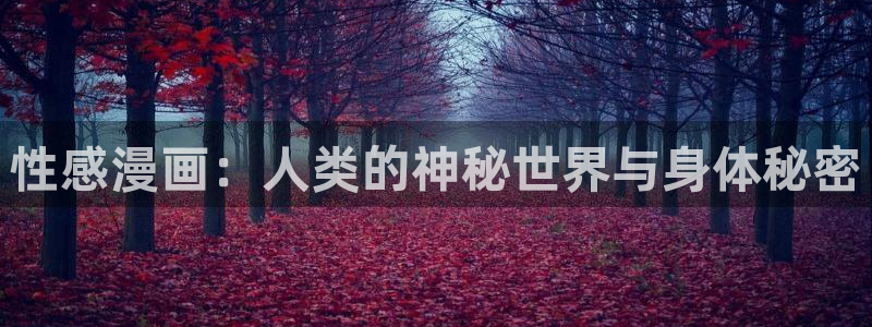 漫蛙平台