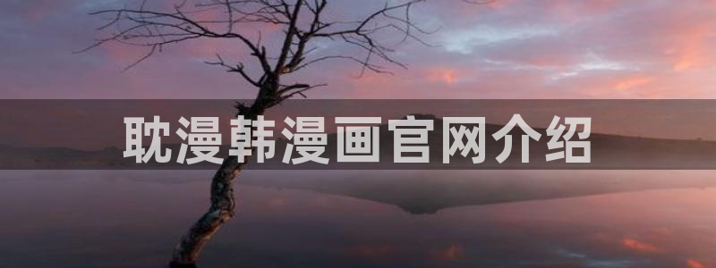 漫蛙网页链接入口