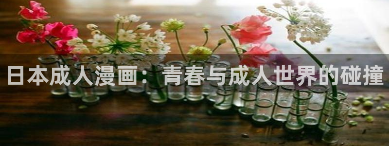 漫蛙正版下载