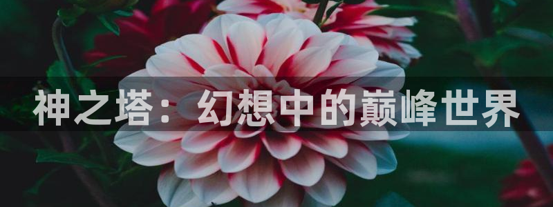 漫蛙破解版app下载