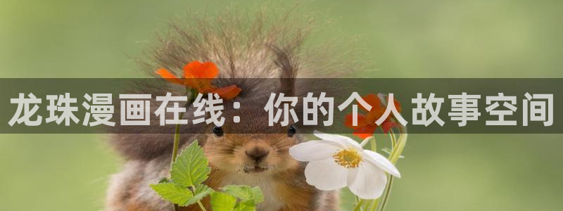 漫蛙入口2025