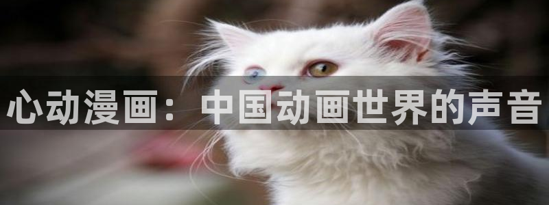 漫蛙app官网版下载
