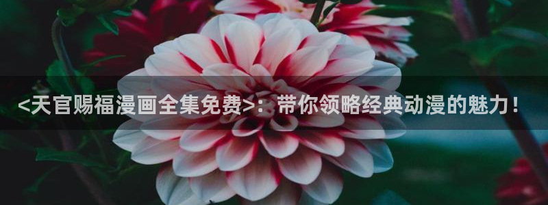 漫蛙漫画在线网页：<天官赐福漫画全集免费>：带你领略经典动漫的魅力！