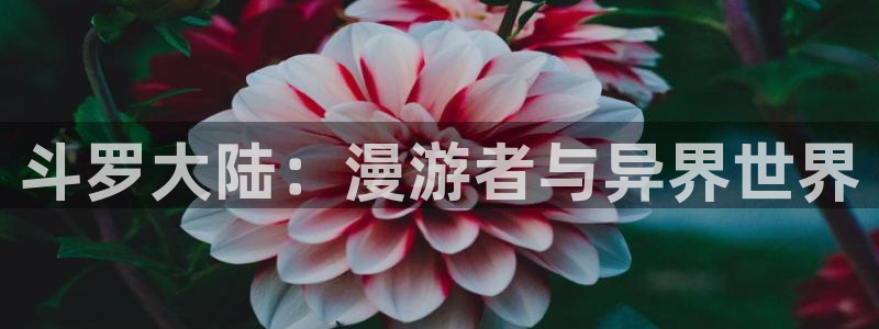 漫蛙漫画网链接：斗罗大陆：漫游者与异界世界