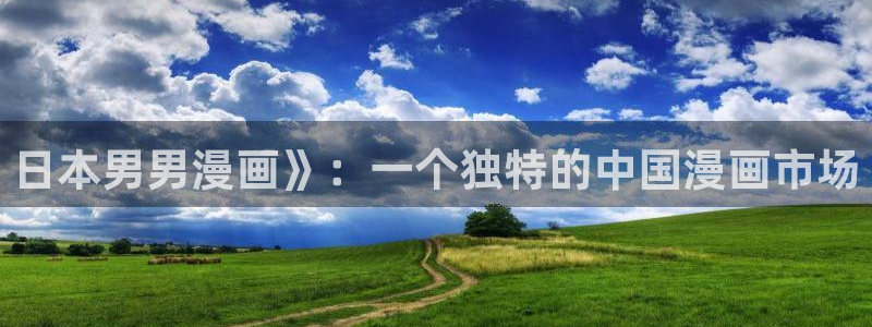 魔咒漫画漫蛙免费观看：日本男男漫画》：一个独特的中国漫画市场